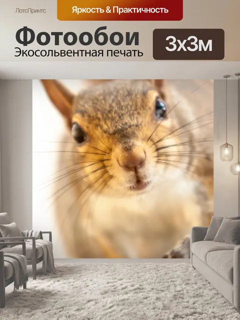 Фотообои Белка на ветке дерева