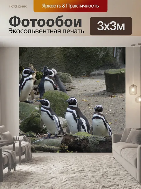 Фотообои Пингвины