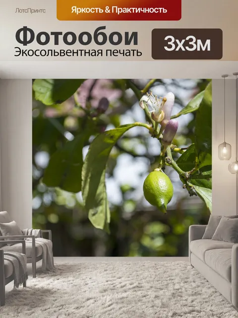 Фотообои Лимон