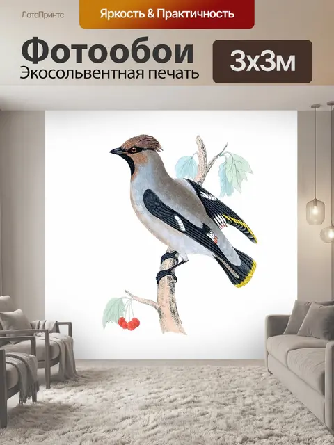 Фотообои Птица