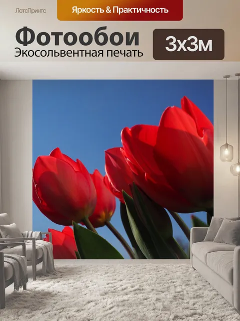 Фотообои Тюльпаны