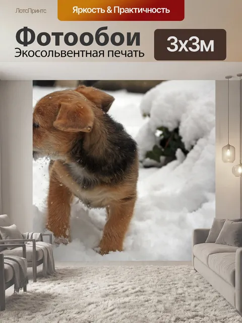 Фотообои Терьер щенок в снегу