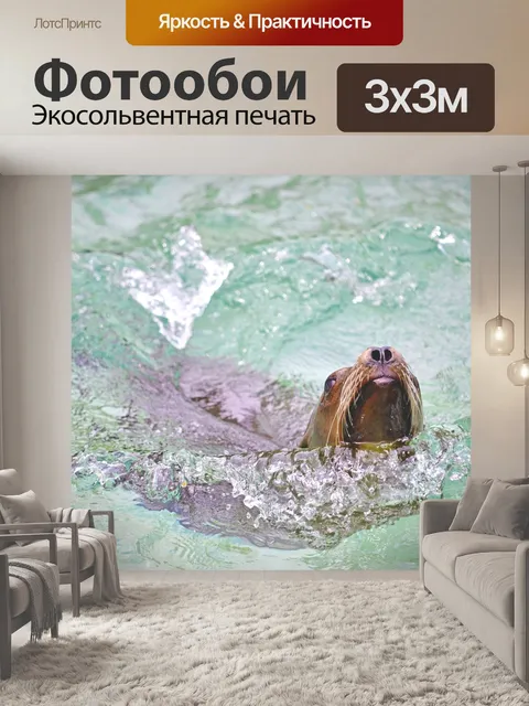 Фотообои Морской лев
