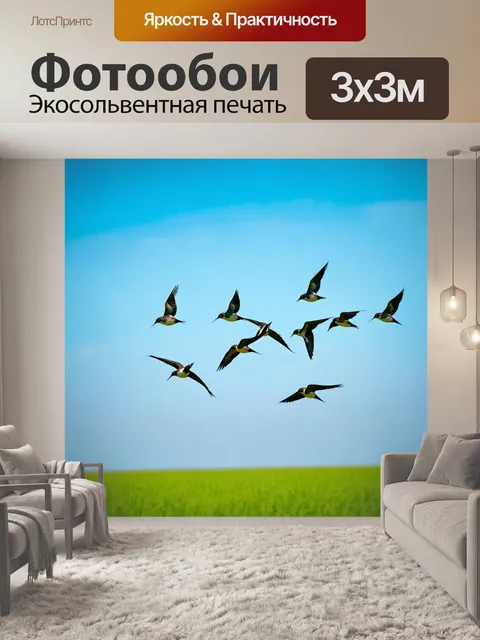 Фотообои животные, стая стрижей, парящих в голубом небе над зелеными полями