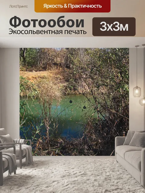 Фотообои два ткацких гнезда над рекой