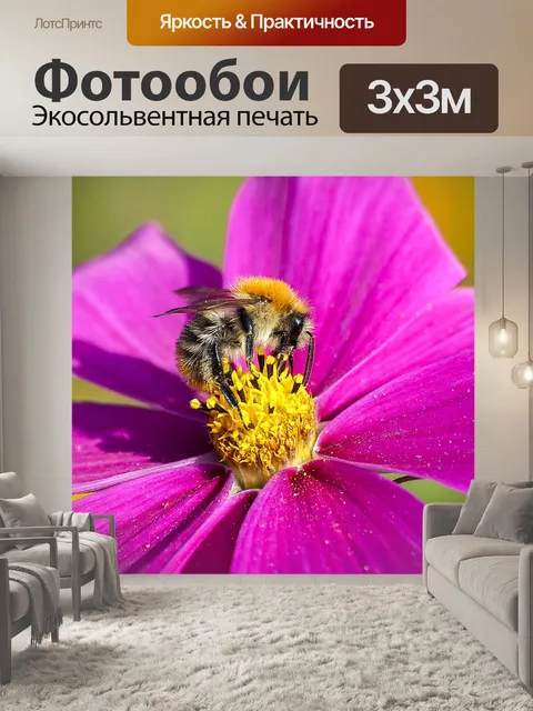 Фотообои Приусадебный шмель