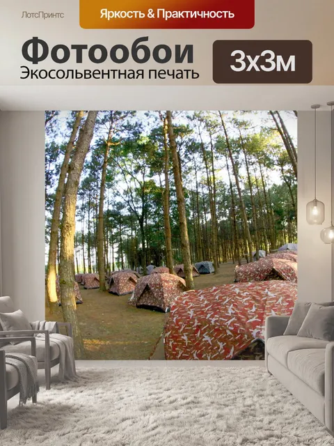 Фотообои кемпинг в сосновом Форрест на Фу Хин Рон