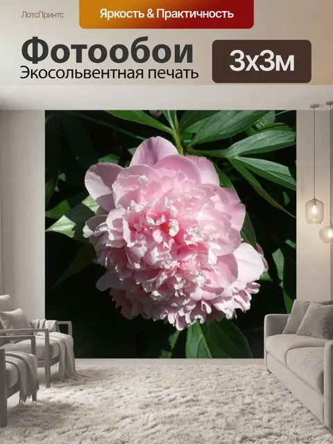 Фотообои Цветок