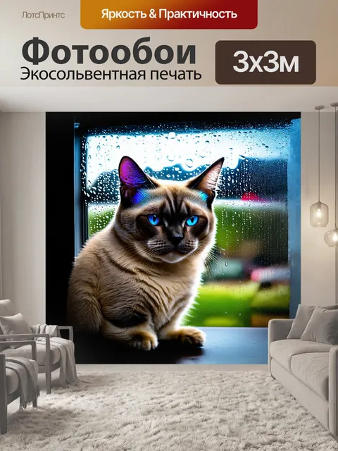 Фотообои сиамский кот, с его переливчатой шерстью, спокойно наблюдает за каплями дождя, стекающими по стеклу