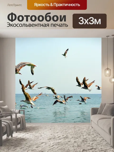 Фотообои Чайка