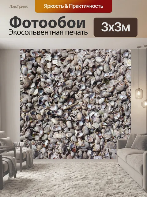 Фотообои Морская ракушка