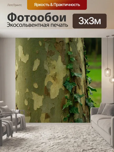 Фотообои Платан