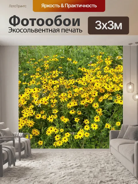 Фотообои Желтые Полевые цветы