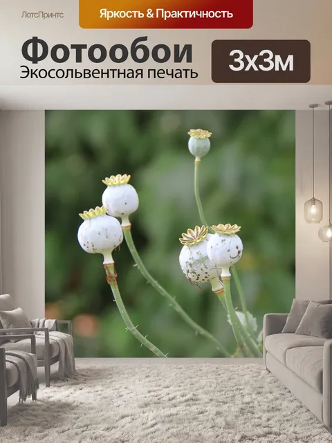Фотообои Лекарственное растение