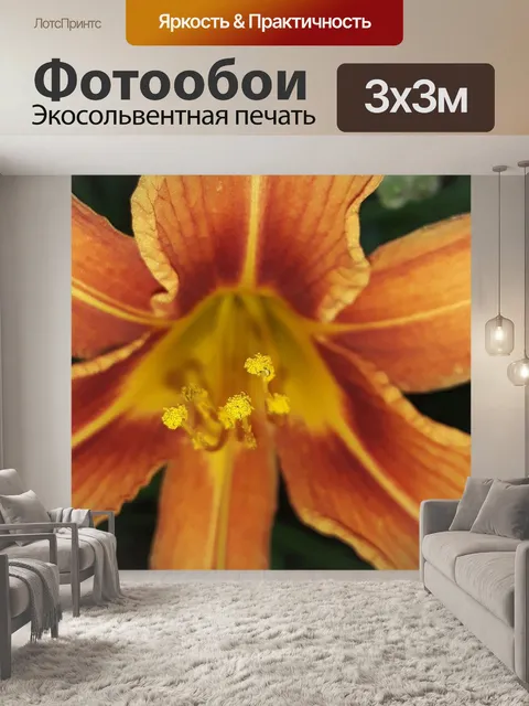 Фотообои Лилейник