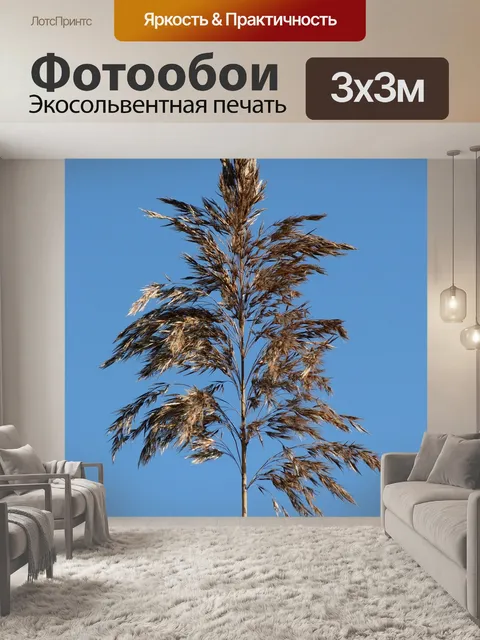 Фотообои Листья травы