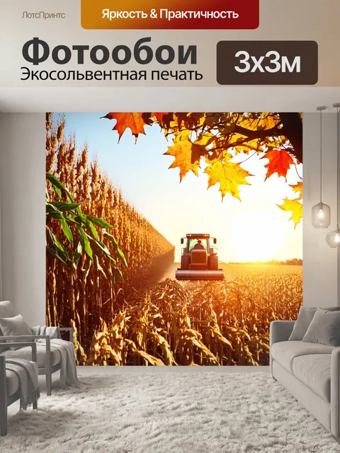 Фотообои осень уборка урожая, золотистые поля кукурузы, фермер работает с комбайном, красивый закат на горизонте…