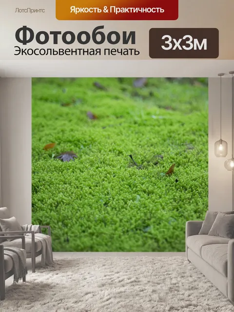 Фотообои Мох