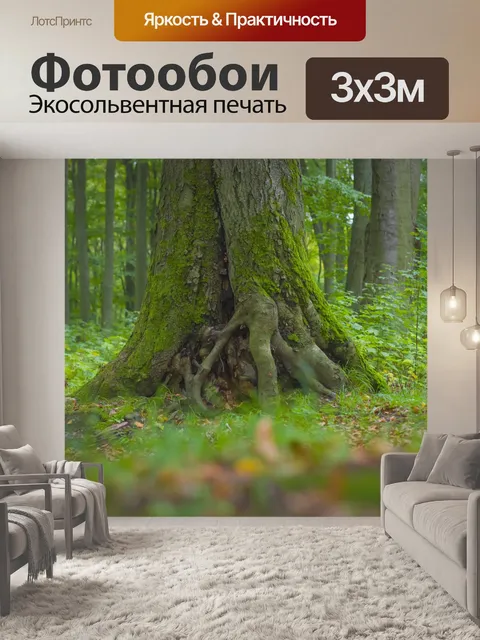 Фотообои Лес