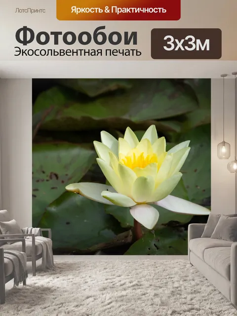 Фотообои Водяная лилия, светло-желтая кувшинка