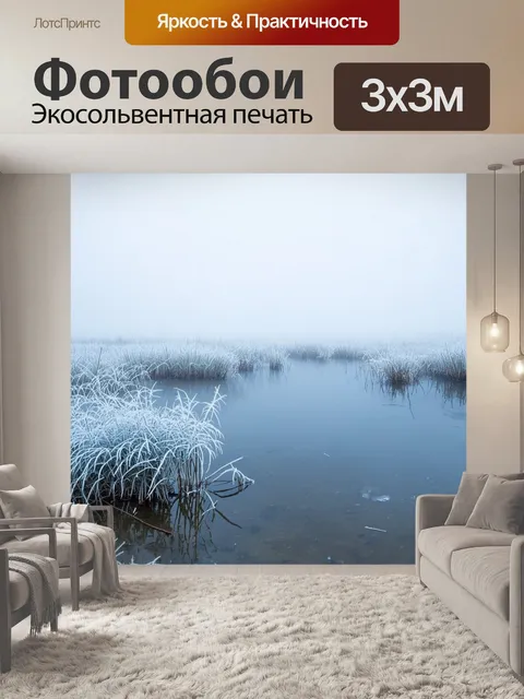 Фотообои замерзшее болото в зимние месяцы, с инее покрытыми растениями и туманом над водой