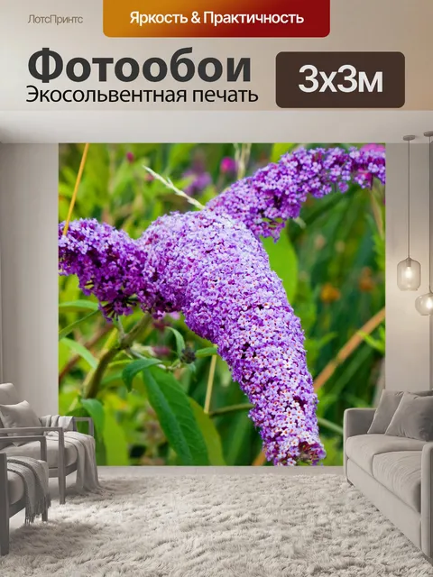 Фотообои Бабочка Буш Цветы сирени