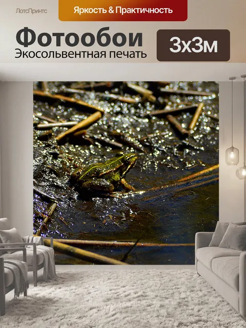 Фотообои Лягушка