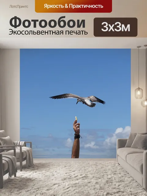 Фотообои Птицы