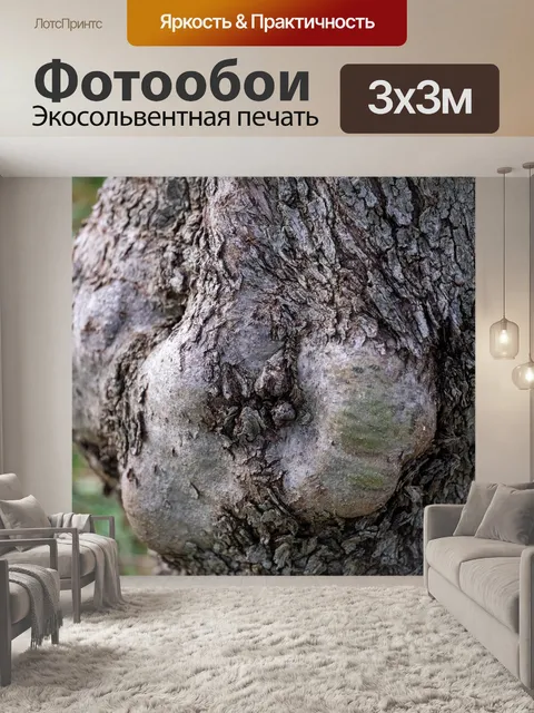 Фотообои Кора