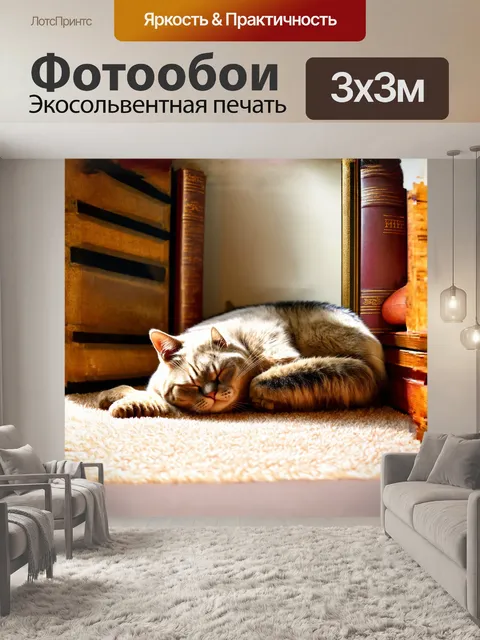 Фотообои шотландская вислоухая кошка мирно спит на ковре в солнечном углу комнаты