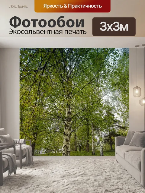 Фотообои Береза