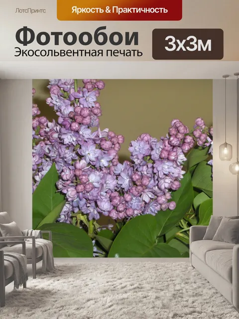 Фотообои Цветы сирени