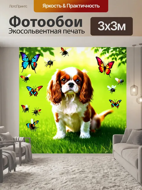 Фотообои радостный кавалер кинг чарльз спаниель сидит на зелёной лужайке
