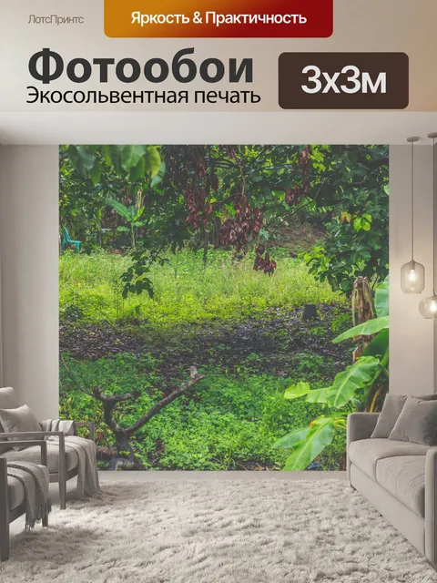 Фотообои Лес
