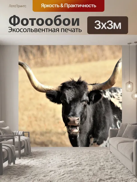 Фотообои Техасский Лонгхорн Бык крупным планом