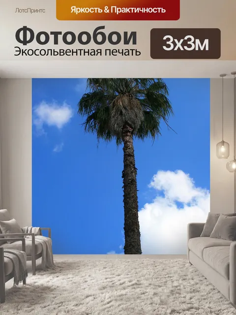Фотообои высокий пальма