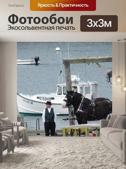 Фотообои Лошади на город Pier