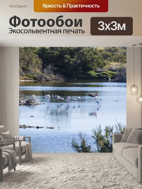 Фотообои Фламинго