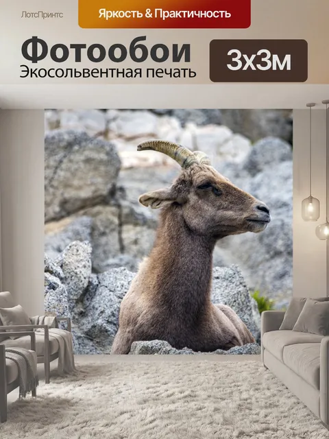 Фотообои Горный козел