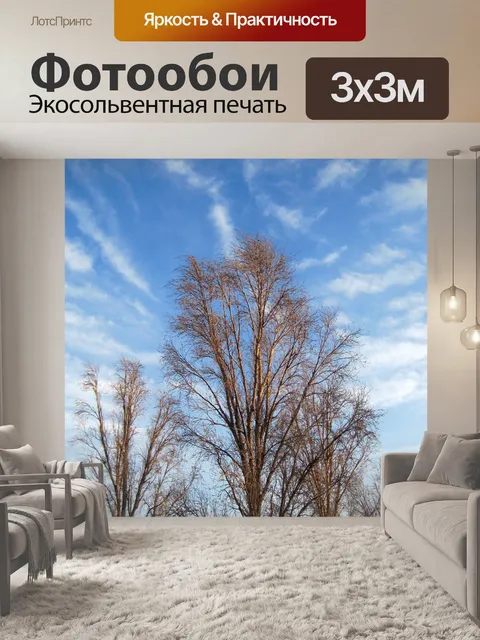 Фотообои голые дерево в начале света