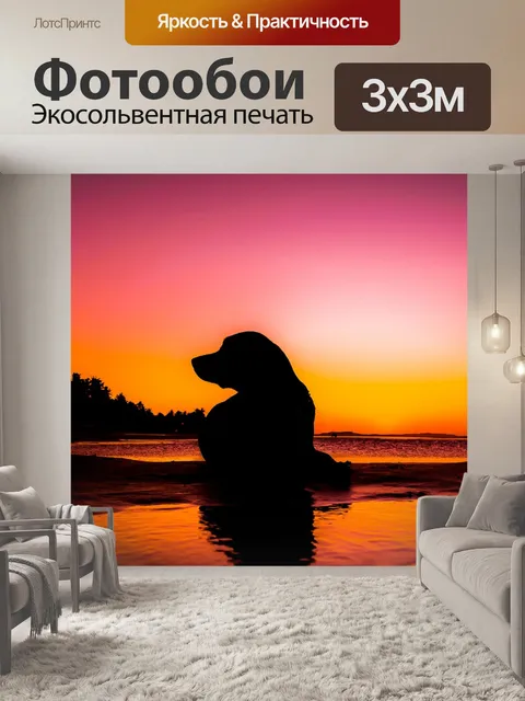Фотообои Собака