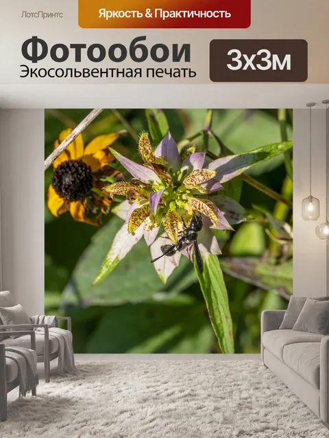 Фотообои Оса