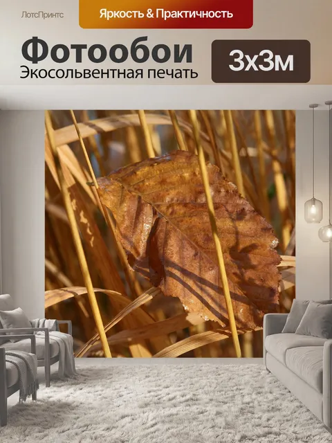 Фотообои Трава