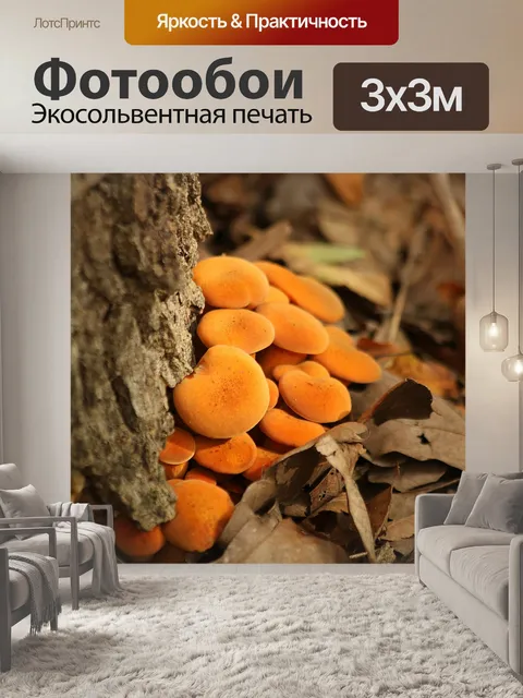 Фотообои Jack-O-Lantern Grush Group