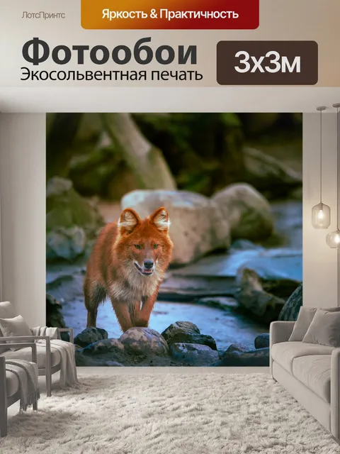 Фотообои Собака