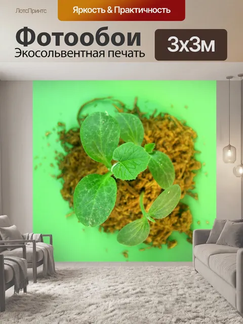 Фотообои Молодое дерево