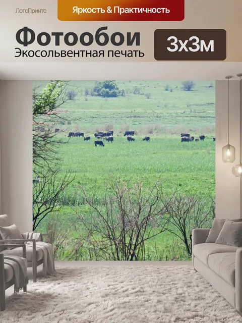 Фотообои буйволы пасутся на зеленом лугу