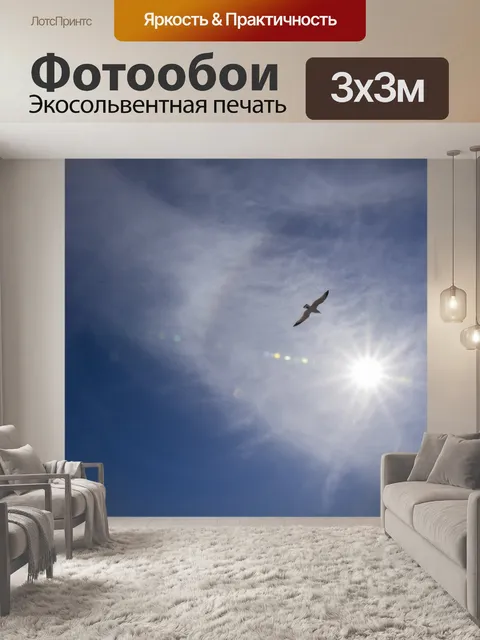 Фотообои Силуэт чайки