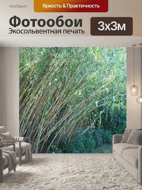 Фотообои камыши нагнувшись