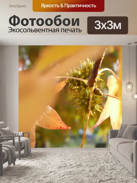 Фотообои Падение
